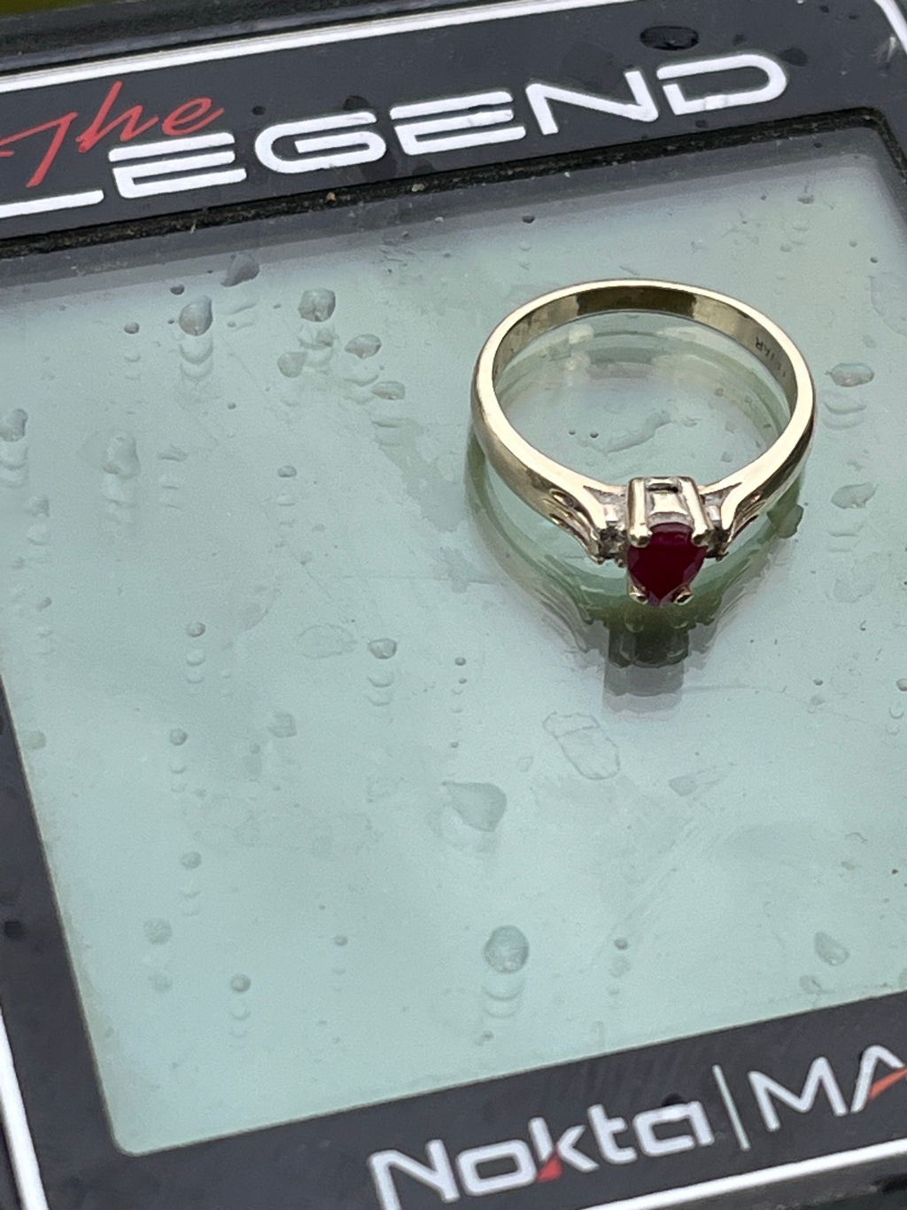 A Successful Ring Recovery Story